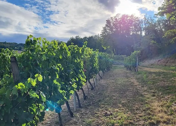 Chalet Zen Avec Son Jacuzzi Et Jardin